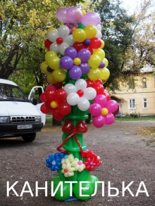 Фото дня