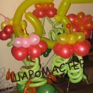 IMG_2764.jpg