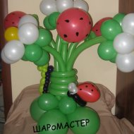 IMG_3270.jpg