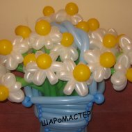 IMG_3280.jpg